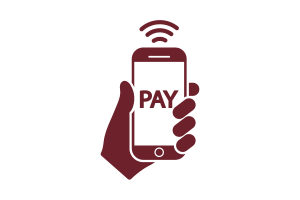 pay online icon